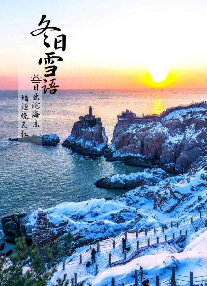 组装机械机甲暴龙2